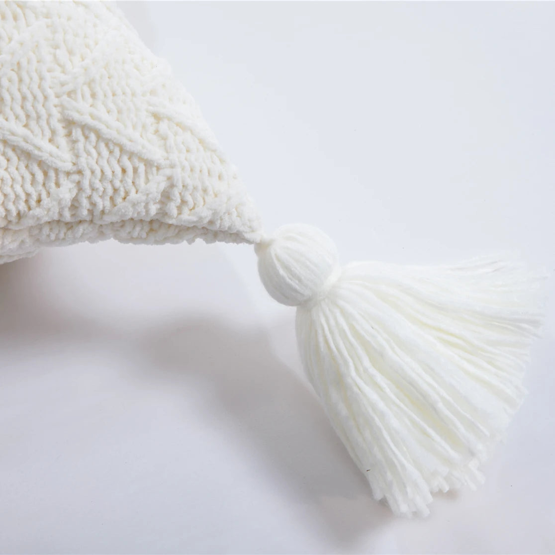 Cute Tassels Chenille Pillow Case